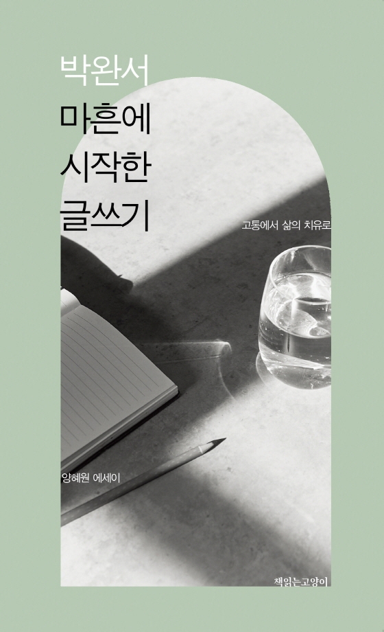 박완서 마흔에 시작한 글쓰기 : 고통에서 삶의 치유로 : 양혜원 에세이