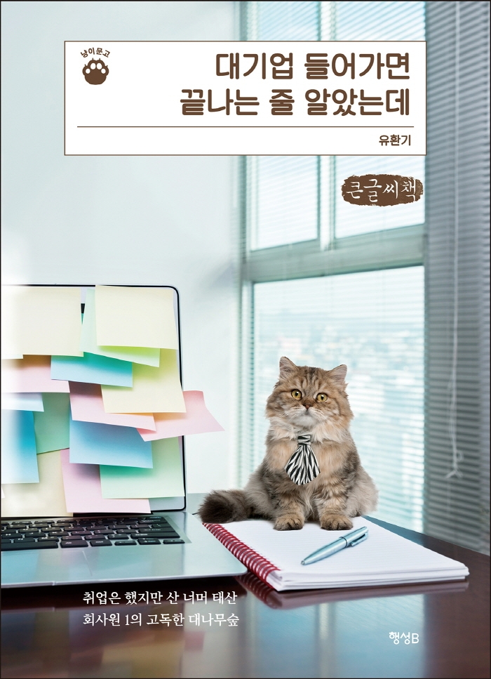 대기업 들어가면 끝나는 줄 알았는데 : 큰글자책