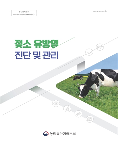 젖소 유방염 진단 및 관리