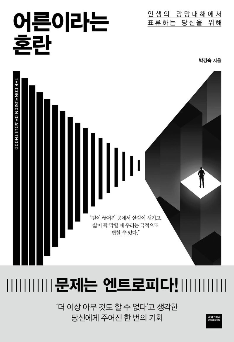 어른이라는 혼란 = The confusion of adulthood : 인생의 망망대해에서 표류하는 당신을 위해