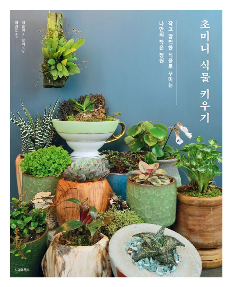 초미니 식물 키우기 : 작고 깜찍한 식물로 꾸미는 나만의 작은 정원