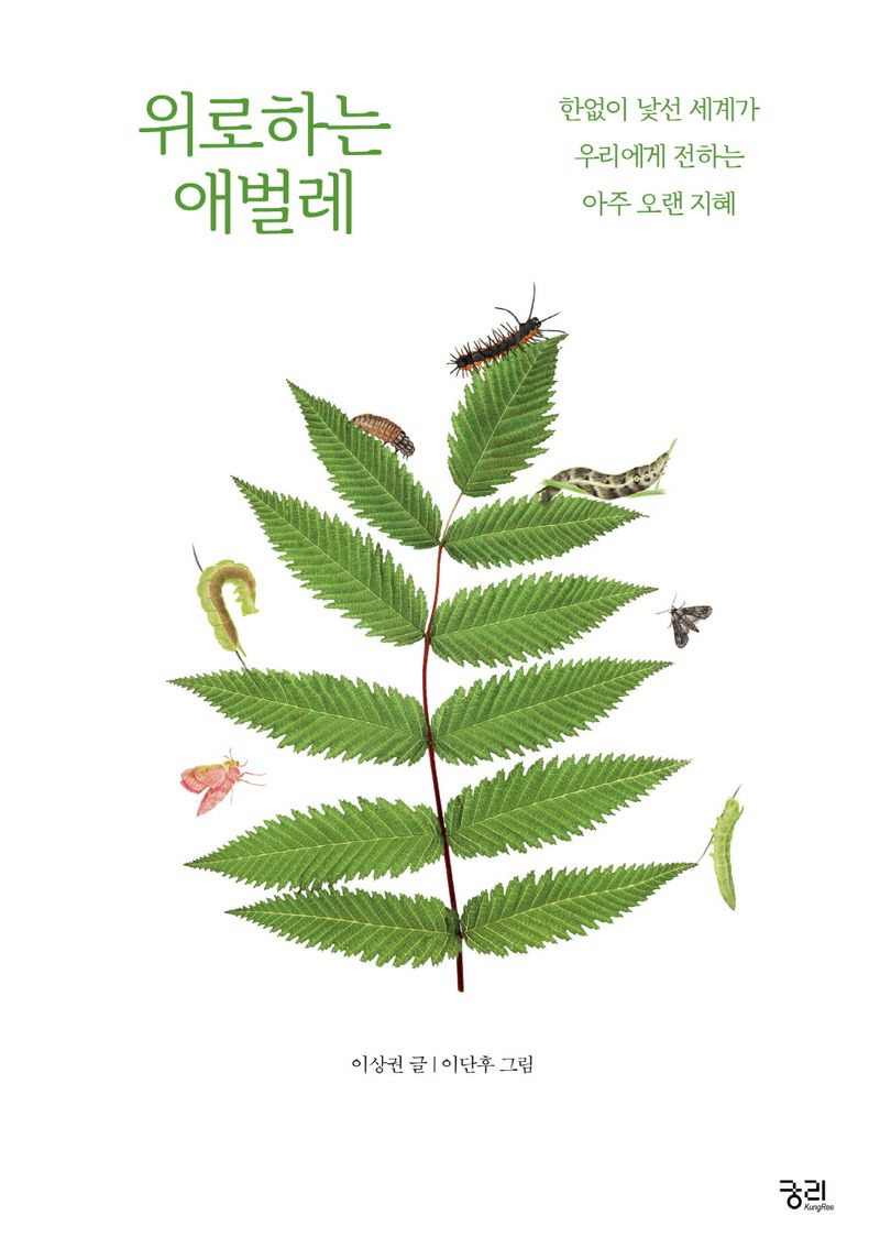 위로하는 애벌레 : 한없이 낯선 세계가 우리에게 전하는 아주 오랜 지혜