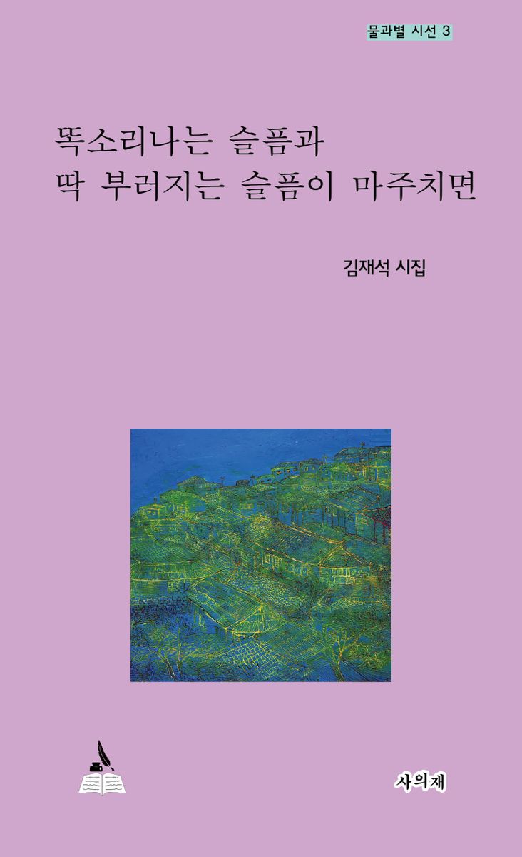 똑소리나는 슬픔과 딱 부러지는 슬픔이 마주치면 : 김재석 시집