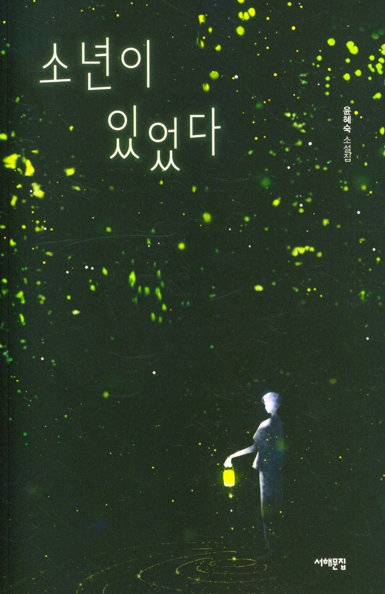 소년이 있었다 : 윤혜숙 소설집