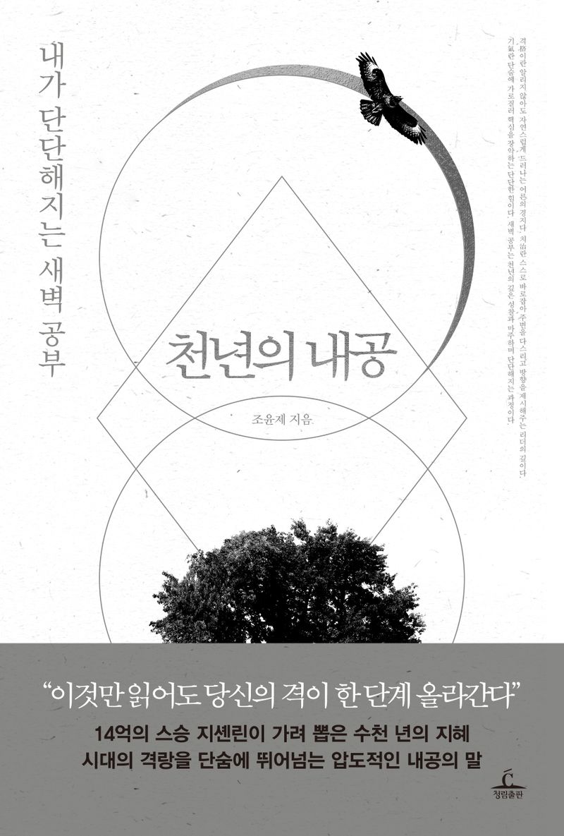 천년의 내공 : 내가 단단해지는 새벽 공부