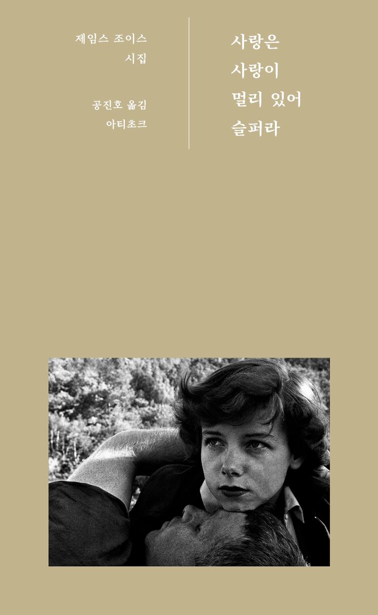 사랑은 사랑이 멀리 있어 슬퍼라 : 제임스 조이스 시집