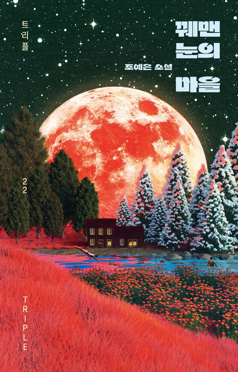 꿰맨 눈의 마을 : 조예은 소설