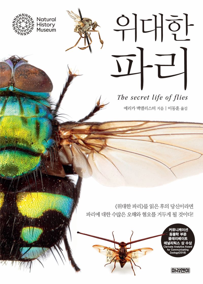 위대한 파리