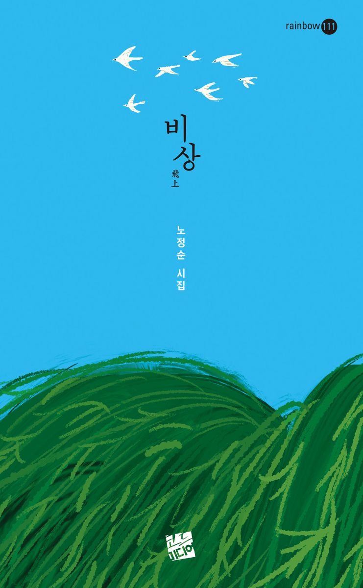 비상 : 노정순 시집
