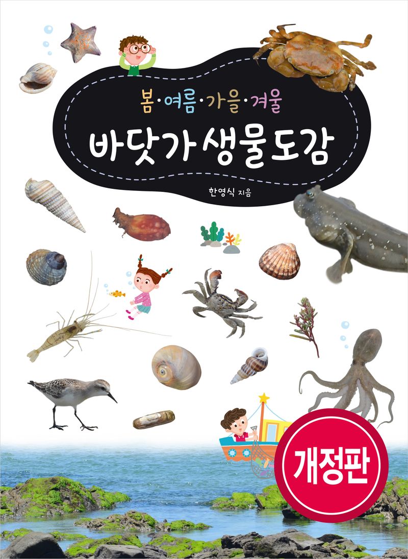 (봄·여름·가을·겨울) 바닷가 생물도감