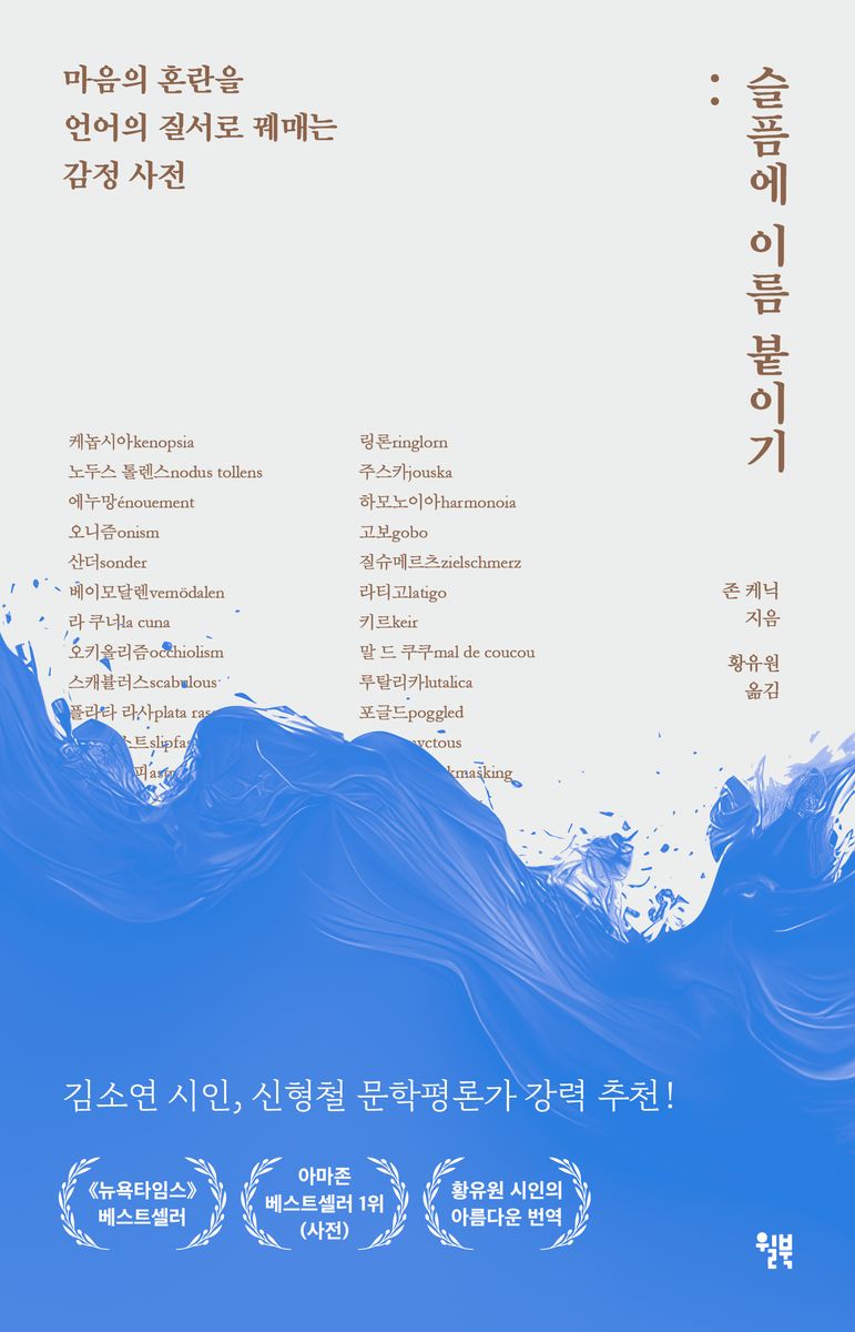 슬픔에 이름 붙이기 : 마음의 혼란을 언어의 질서로 꿰매는 감정 사전