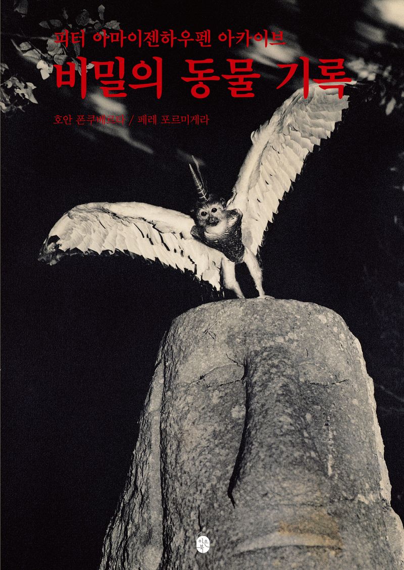 비밀의 동물 기록 : 피터 아마이젠하우펜 아카이브