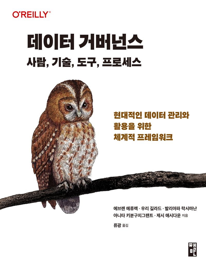 데이터 거버넌스 : 사람, 기술, 도구, 프로세스 : 현대적인 데이터 관리와 활용을 위한 체계적 프레임워크