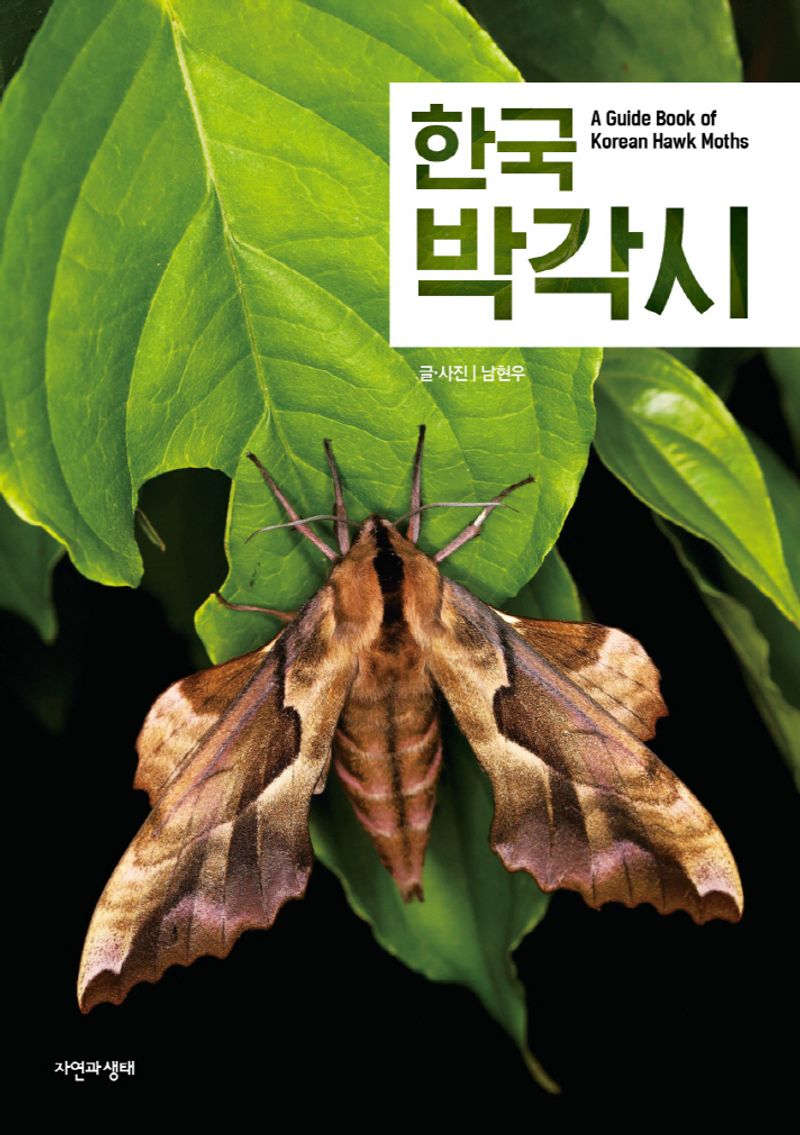 한국 박각시 = A guide book of Korean hawk moths