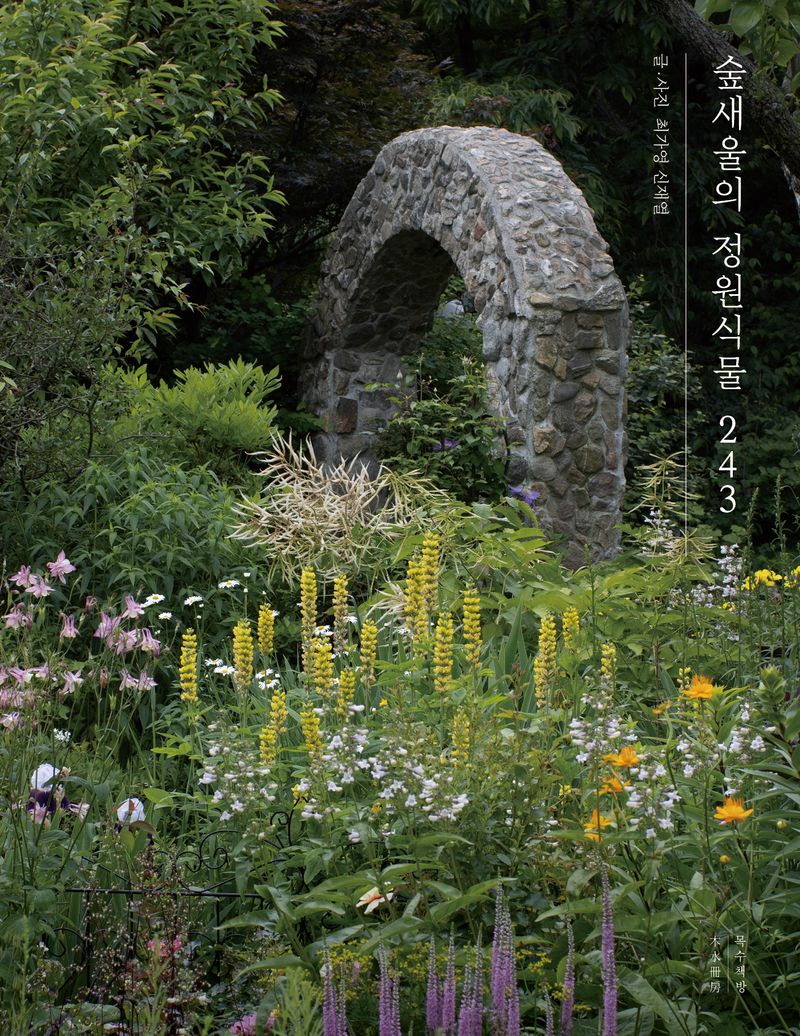 숲새울의 정원식물 243