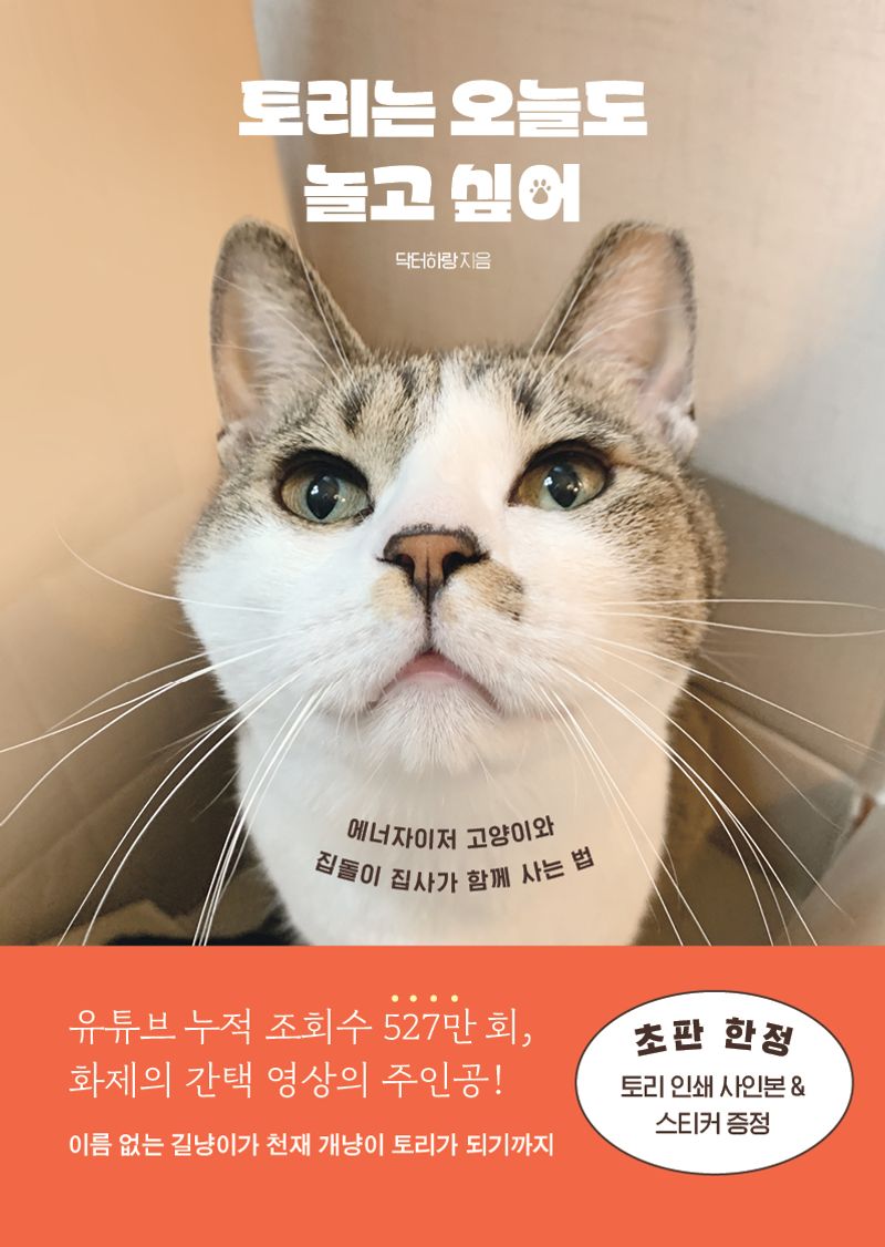 토리는 오늘도 놀고 싶어 : 에너자이저 고양이와 집돌이 집사가 함께 사는 법