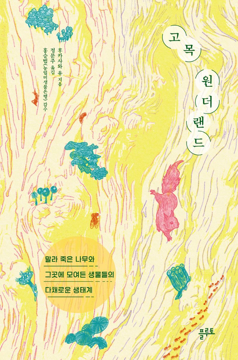 고목 원더랜드 : 말라 죽은 나무와 그곳에 모여든 생물들의 다채로운 생태계