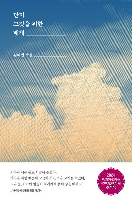 단지 그것을 위한 베개 : 김혜빈 소설