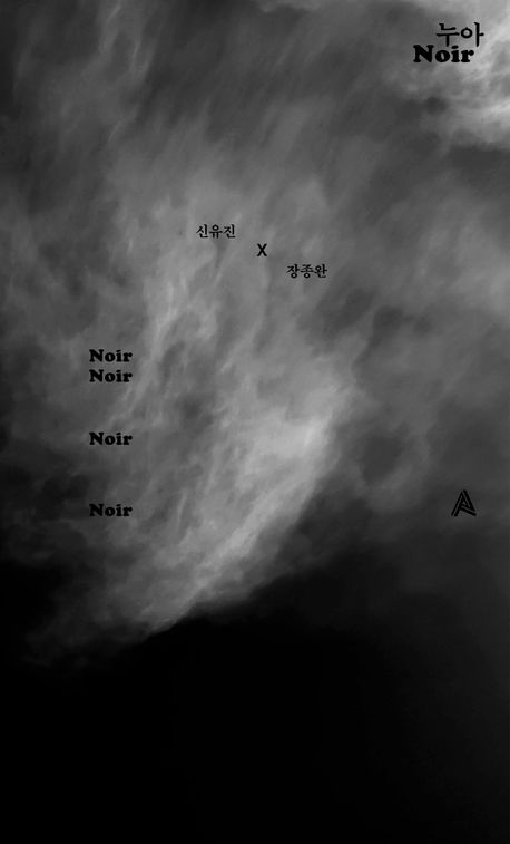 누아 = Noir