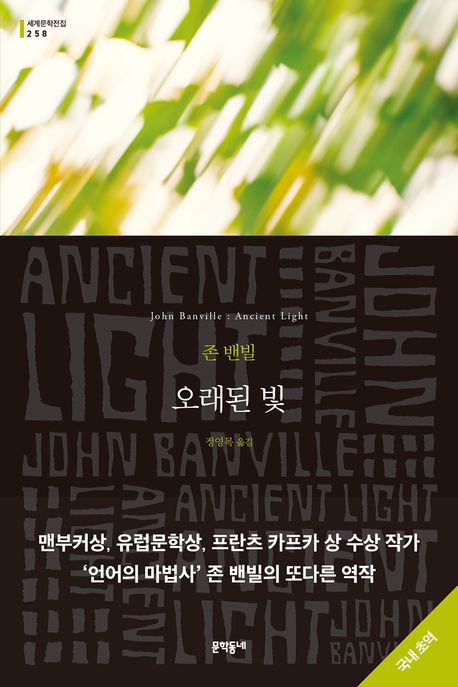 오래된 빛 : 존 밴빌 장편소설