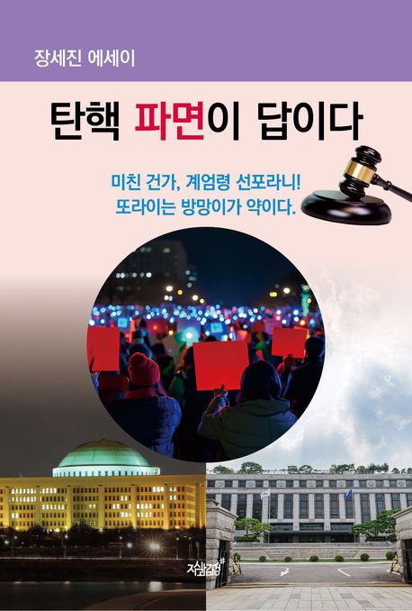 탄핵 파면이 답이다 : 장세진 에세이
