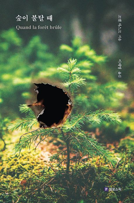 숲이 불탈 때
