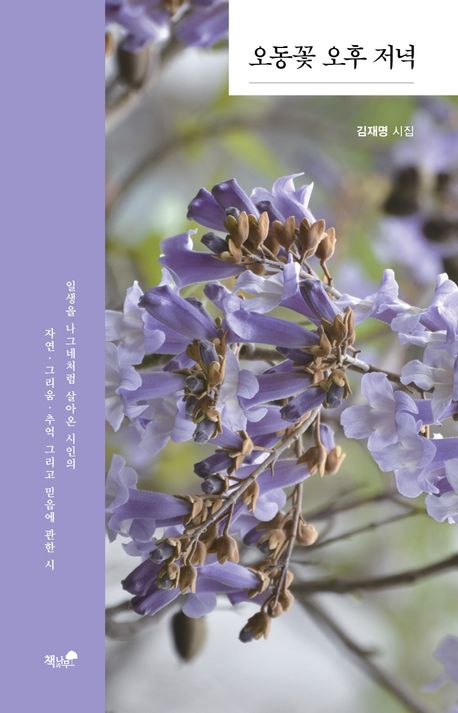오동꽃 오후 저녁 : 김재명 시집