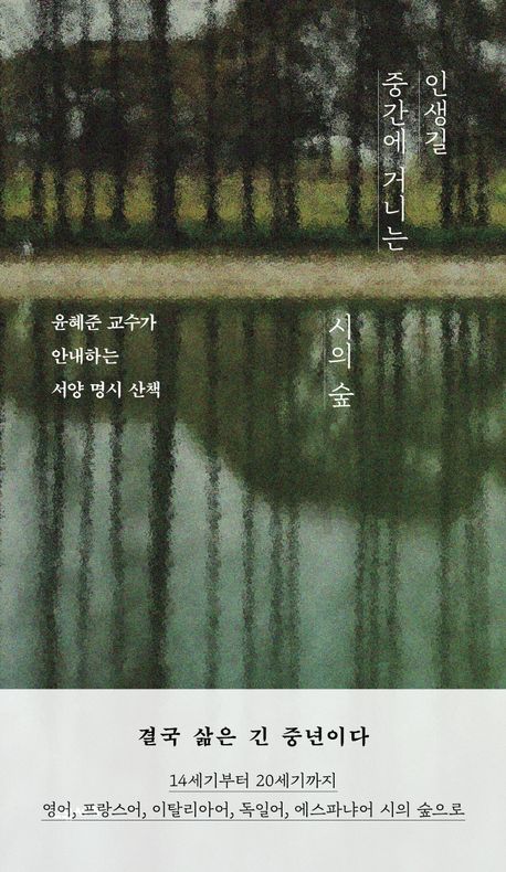 인생길 중간에 거니는 시의 숲 : 윤혜준 교수가 안내하는 서양 명시 산책