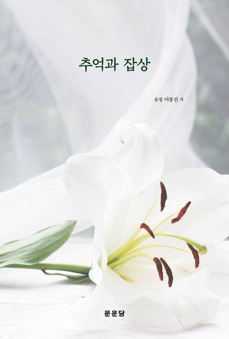 추억과 잡상