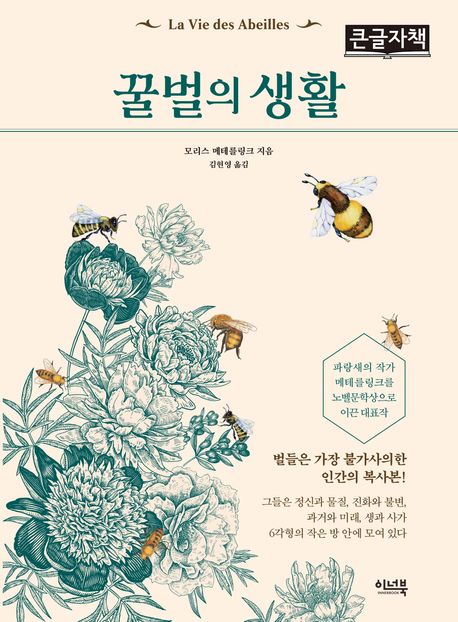 꿀벌의 생활 : 큰글자책