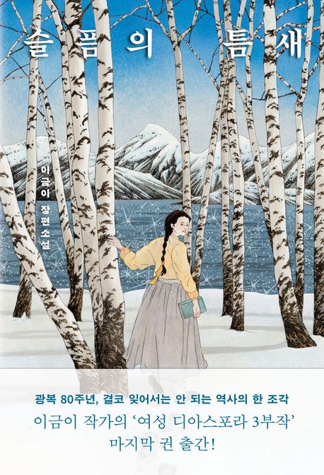 슬픔의 틈새 : 이금이 장편소설