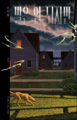 말은 안되지만 [전자자료] : 정해연 소설