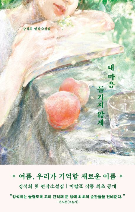 내 마음 들키지 않게 : 강석희 연작소설집