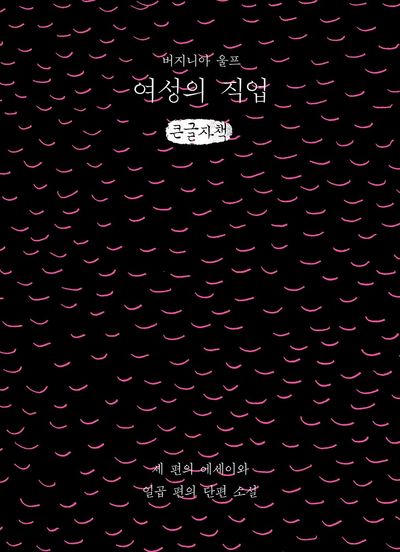 여성의 직업 : 세 편의 에세이와 일곱 편의 단편소설 : 큰글자책