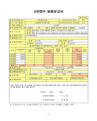 당뇨병성 신증의 발병과 악화시 마이토파지의 역할 연구 [전자자료]