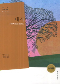 대지