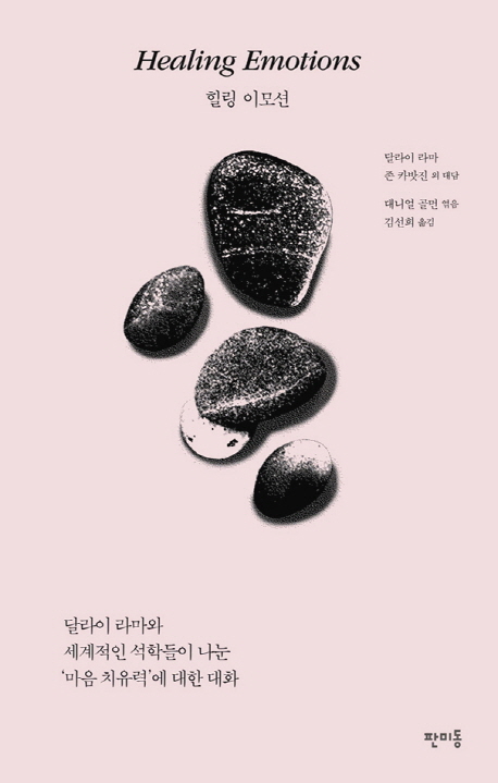 힐링 이모션 : 달라이 라마와 세계적인 석학들이 나눈 '마음 치유력'에 대한 대화