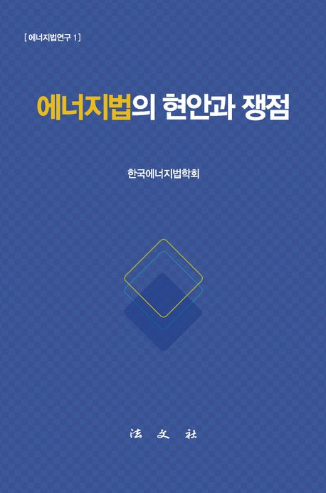 에너지법의 현안과 쟁점